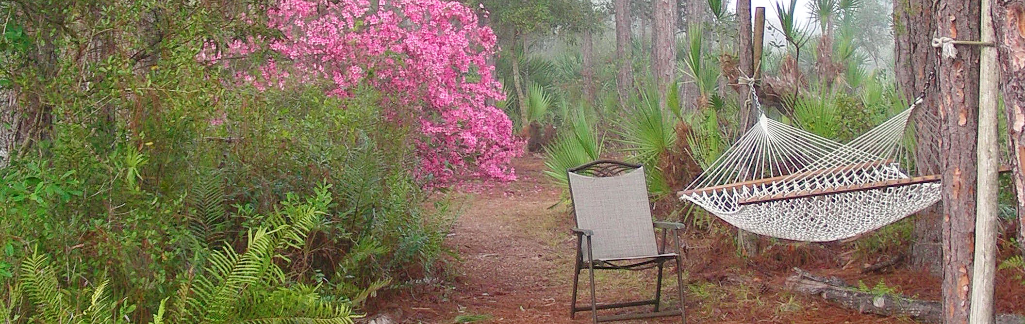 Landscaping with Natives is Florida Smart!>