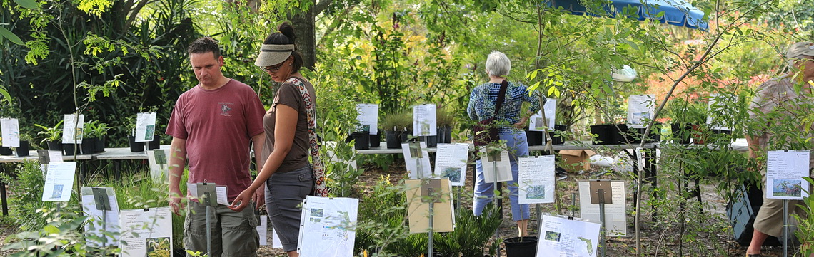 plant sale image