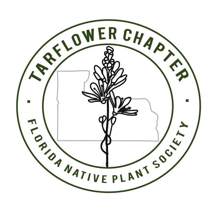 Tarflower Chapter