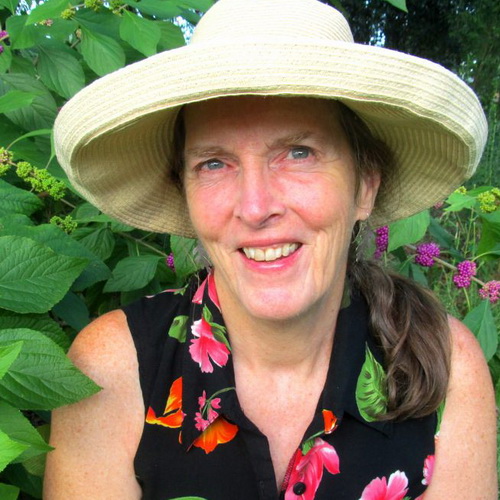 Ginnie Stibolt