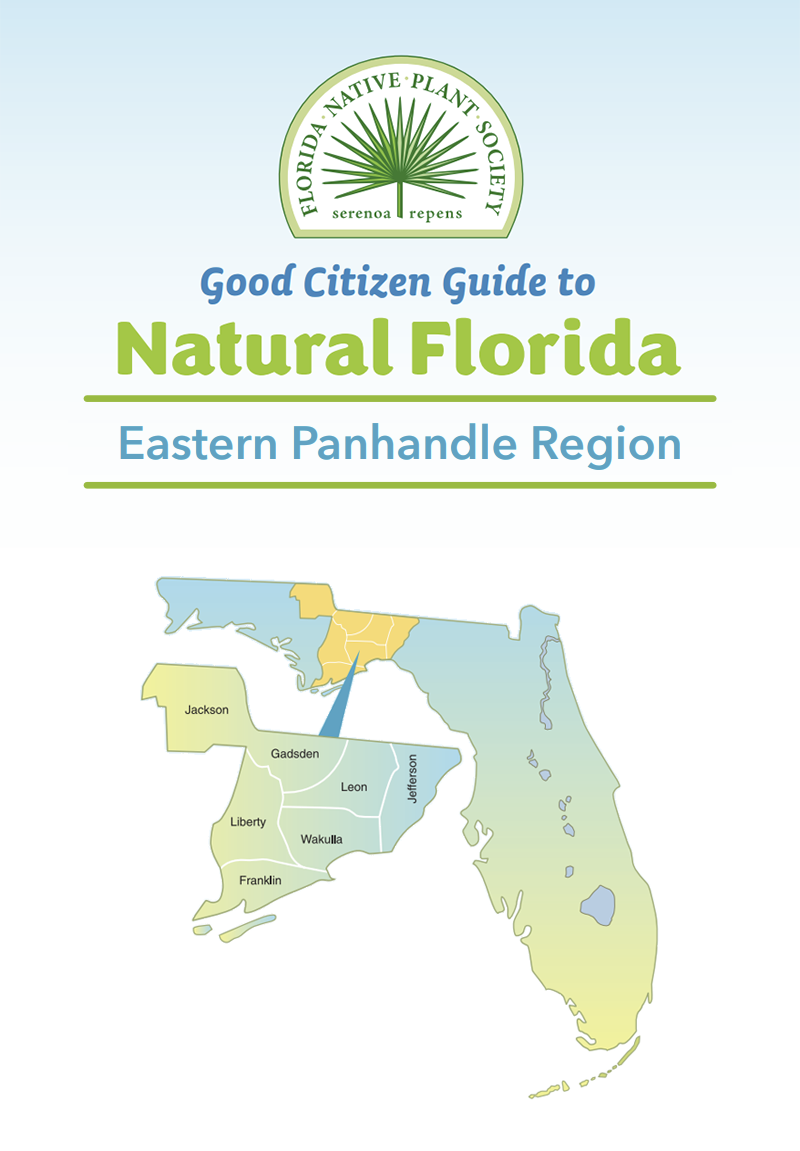 B-Eastern Panhandle