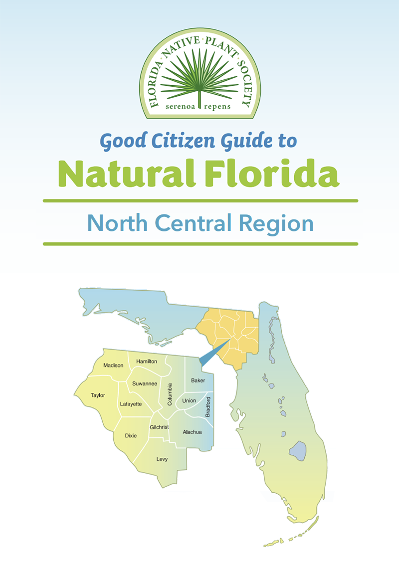 C-North Central Florida