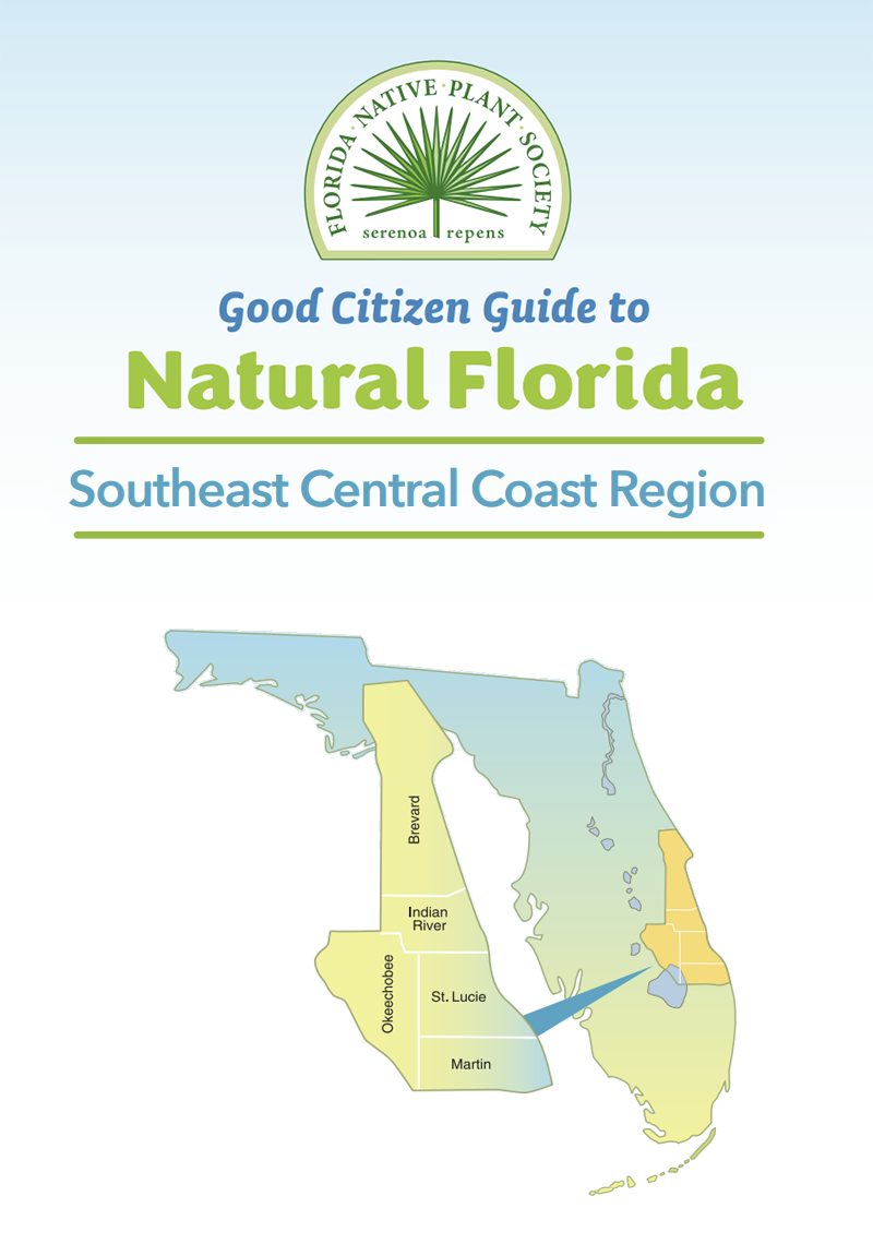 J-South East Central Florida Coast