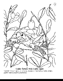 Coloring Book 09 - Gopher Tortoise with Gopher Apple