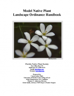 Model Landscape Ordinance Guidelines