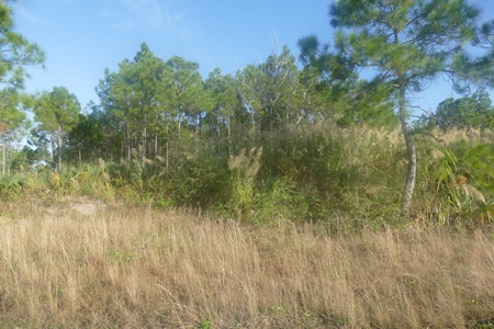 what-we-do/conservation-grants/2016-zooMiami-Before.jpg