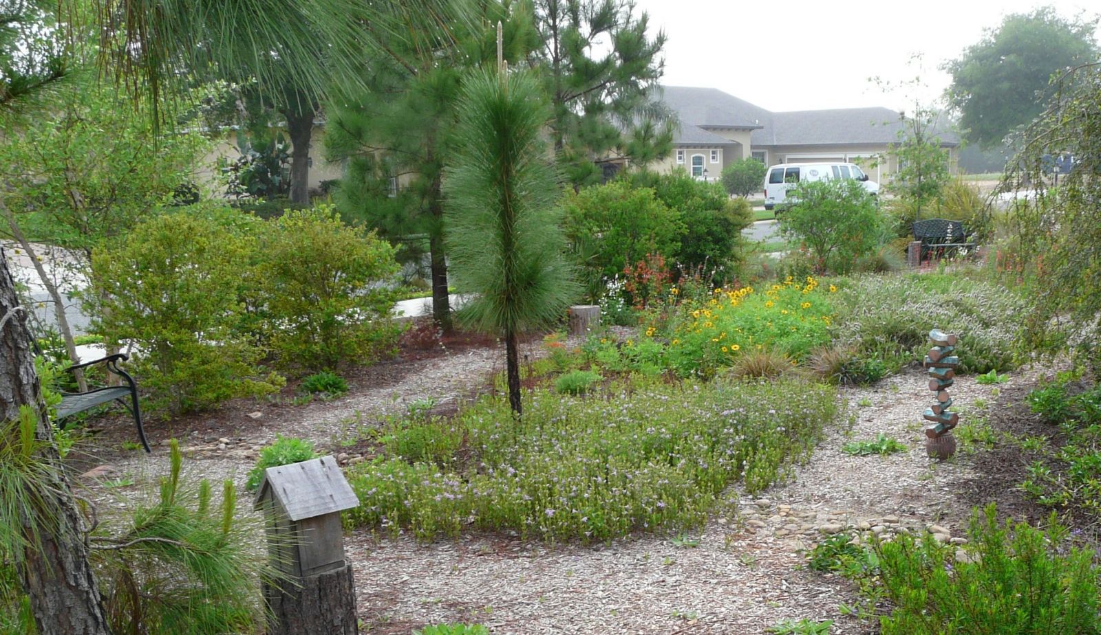 Florida Native Plant Society Fnps, North Florida Landscaping Ideas Front Yard